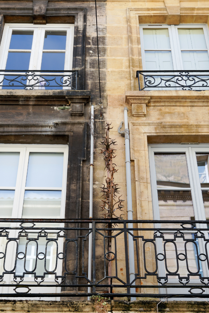 Entretien immeuble haussmannien